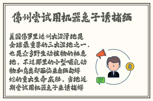 cy21.ct春雨
